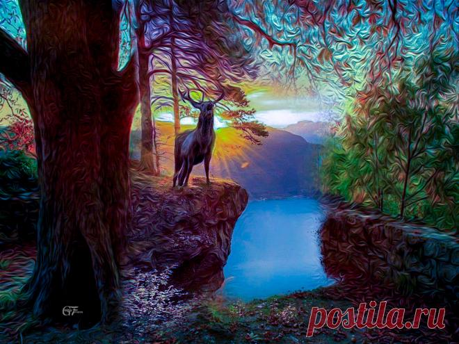 мои фантазии