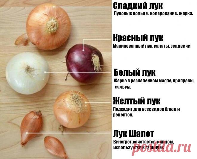 Gif рецепты от Гифки