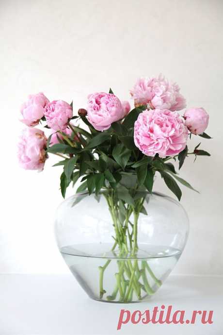 Найдено на сайте fabulouslyfrench.blogspot.com.