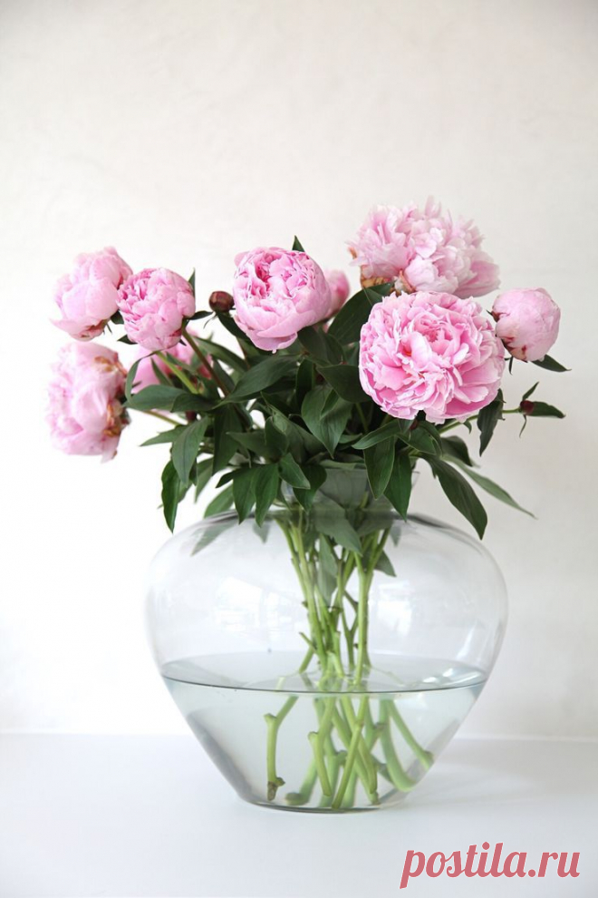 Найдено на сайте fabulouslyfrench.blogspot.com.
