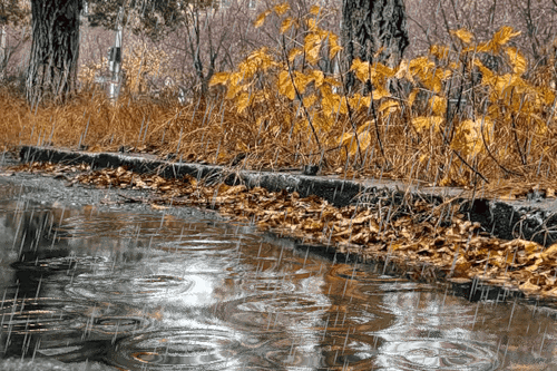 Анимация дождя и луж