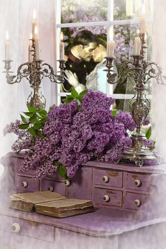 ROSES&KINGDOM OF NATURE – Google+