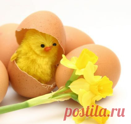 праздник | Записи с меткой праздник | РАДУЙТЕСЬ С НАМИ!!!