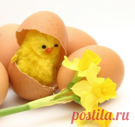 праздник | Записи с меткой праздник | РАДУЙТЕСЬ С НАМИ!!!