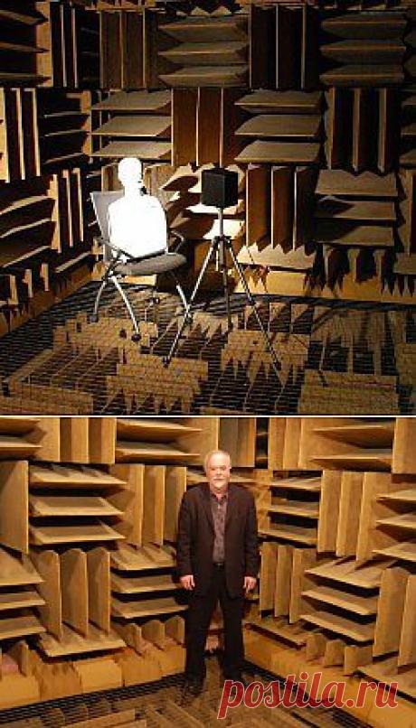 Самое тихое место в мире сведет вас с ума