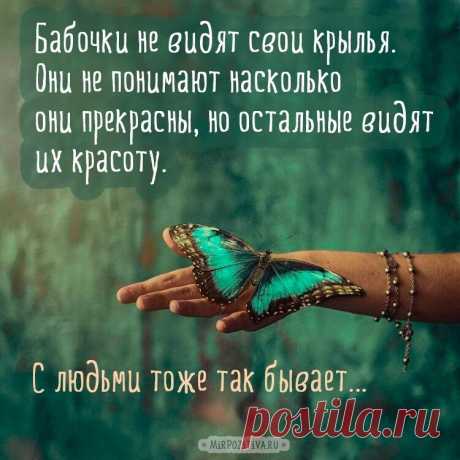 Если бы гусеница держалась за прошлое, она бы никогда не стала бабочкой.
Каждый миг — это новая возможность для создания того, что может сделать нас счастливее.
Шакти Гавэйн
