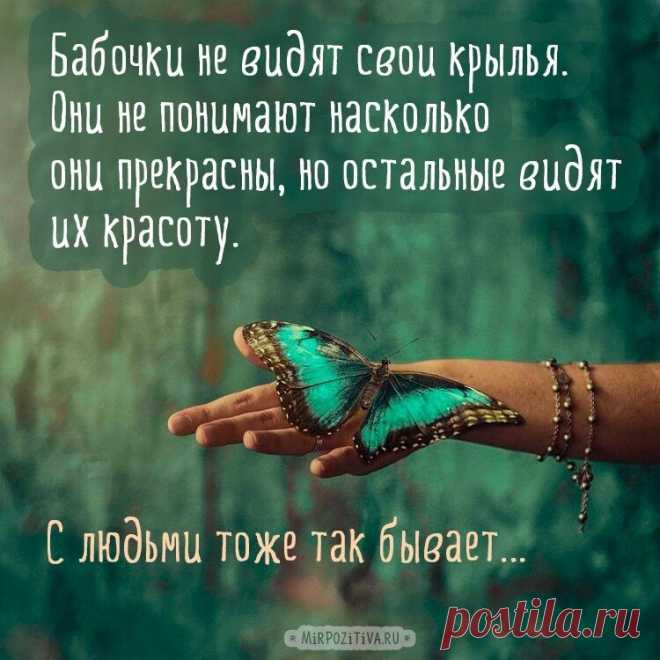 Если бы гусеница держалась за прошлое, она бы никогда не стала бабочкой.
Каждый миг — это новая возможность для создания того, что может сделать нас счастливее.
Шакти Гавэйн
