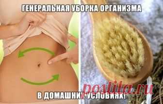 Как очистить организм от шлаков и похудеть в домашних условиях Если предпринимаете максимум усилий, чтобы похудеть, но вес по-прежнему на месте, тогда задействуйте тяжелую артиллерию — проведите детокс организма. Предлагаем изучить, как очистить организм от шлако...