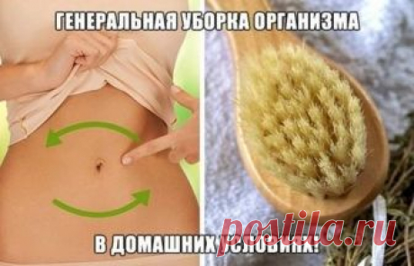 Как очистить организм от шлаков и похудеть в домашних условиях Если предпринимаете максимум усилий, чтобы похудеть, но вес по-прежнему на месте, тогда задействуйте тяжелую артиллерию — проведите детокс организма. Предлагаем изучить, как очистить организм от шлако...