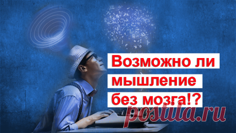 Действительно ли сознание и мышление человека являются продуктами его головного мозга? Есть некоторые научные исследования, которые просто ставят в тупик сегодняшнюю нейрофизиологию. В 1970 году житель Нью-Йорка скончался в возрасте тридцати пяти лет. В школьные годы он не отличался успеваемостью.Он поступил на службу в качестве консьержа и пользовался популярностью в своем окружении. Жители дома, в котором работал этот мужчина, рассказывали, что он обычно проводил свое время за рутинными заняти