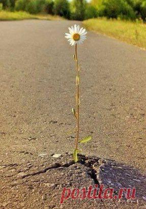 Я сотрудничаю с известной компанией!Ищу в свою команду людей,которые хотят работать и зарабатывать,БЕЗ вложений,БЕЗ продаж!2-3 месяца БЕСПЛАТНОЕ обучение!!! работа дома за компьютером,3-4 часа в сутки.В проекте з/плата растет с каждым месяцем и через 8-9 месяцев ВЫ можете выйти на доход от 1000-2000 тыс долларов, через каждые три недели выплаты -плюс премии.Все зависит от ВАС! Присоединяйтесь! Поверьте!Никогда не пожалеете!о своем положительном решении.