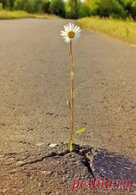 Я сотрудничаю с известной компанией!Ищу в свою команду людей,которые хотят работать и зарабатывать,БЕЗ вложений,БЕЗ продаж!2-3 месяца БЕСПЛАТНОЕ обучение!!! работа дома за компьютером,3-4 часа в сутки.В проекте з/плата растет с каждым месяцем и через 8-9 месяцев ВЫ можете выйти на доход от 1000-2000 тыс долларов, через каждые три недели выплаты -плюс премии.Все зависит от ВАС! Присоединяйтесь! Поверьте!Никогда не пожалеете!о своем положительном решении.