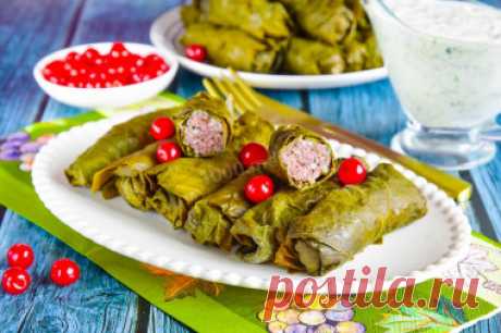 Толма армянская рецепт с фото пошагово и видео - 1000.menu