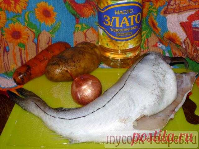 Уха из пикши