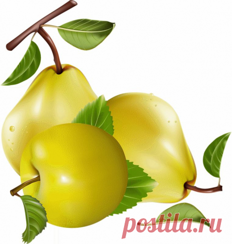 клипарт «дары природы