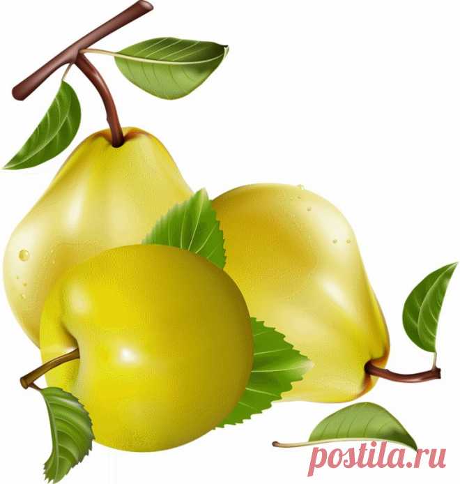 клипарт «дары природы