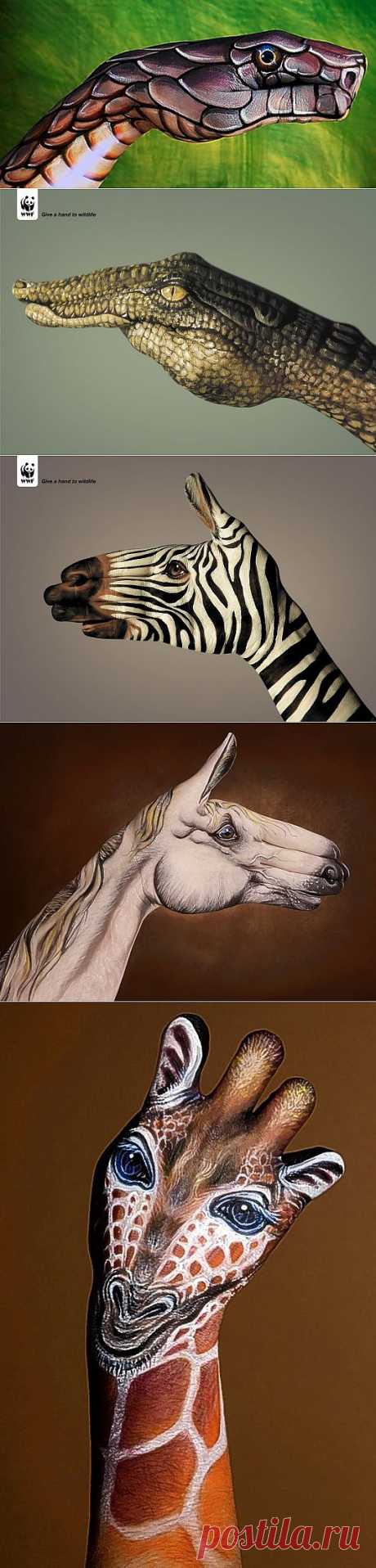 Hand Art – впечатляющие иллюстрации на руках от Guido Daniele | Newpix.ru - позитивный интернет-журнал