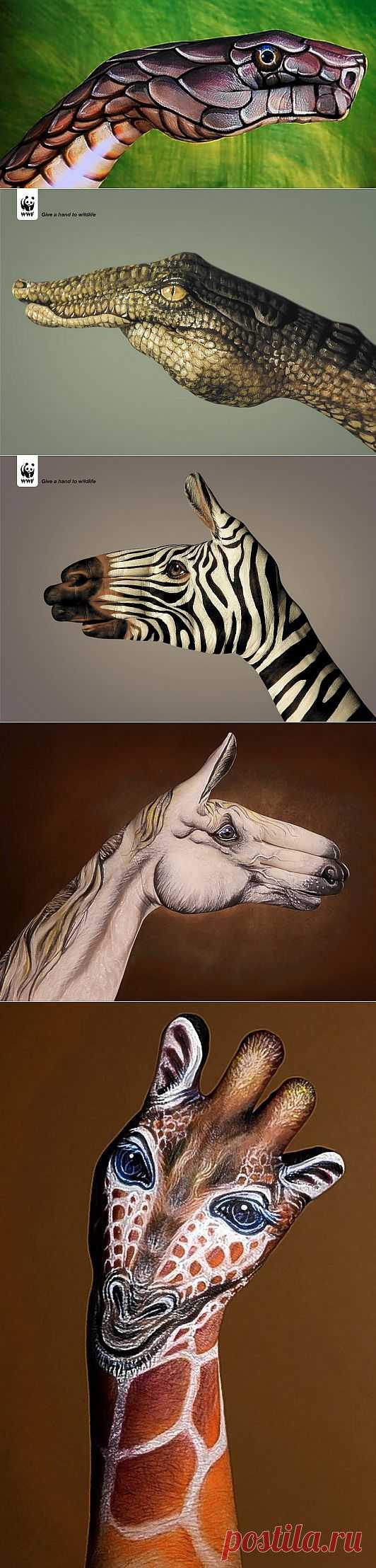 Hand Art – впечатляющие иллюстрации на руках от Guido Daniele | Newpix.ru - позитивный интернет-журнал
