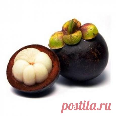 Масло кокума - лучшее масло для мыловарения? Масло кокума получают из семян дерева произрастающего в Индии, методом холодного отжима. Великолепное масло для сохранения молодости вашей кожи!