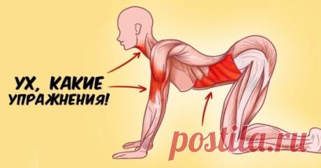 7 упражнений японского целителя Кацудзо Ниши, которые способны творить чудеса с женским организмом.
Комплекс упражнений для женщин
Начать стоит с того, чтобы выбрать подходящее время для упражнений, когда не нужно никуда спешить. Главное — не выполняй упражнения поздним вечером, ведь так можно нарушить свой суточный ритм. Лучше всего делать их с утра, чтобы зарядиться положительной энергией и бо
