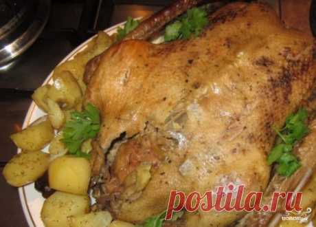 Гусь в духовке с яблоком - пошаговый рецепт с фото на Повар.ру