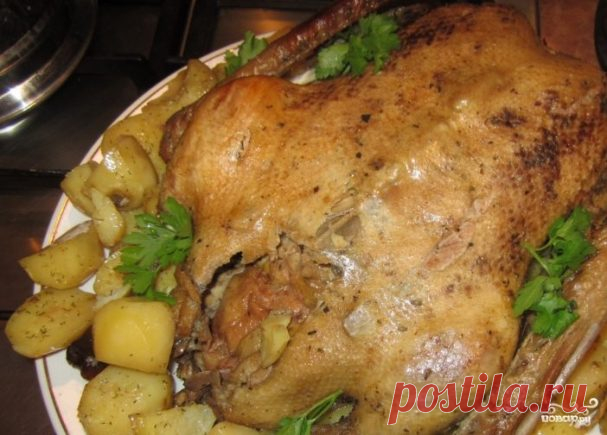 Гусь в духовке с яблоком - пошаговый рецепт с фото на Повар.ру