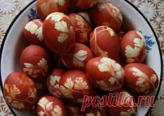 Яйца крашенные Автор рецепта Елена Шипова (Лукьянова) - Cookpad