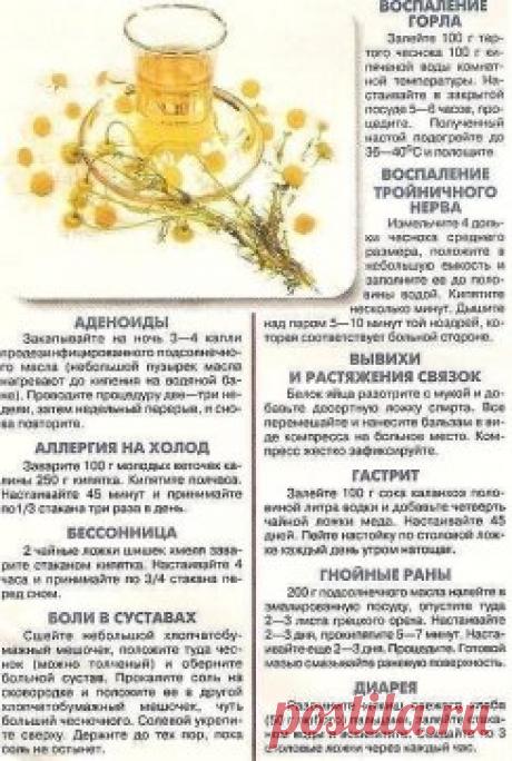 ЗАБЫТЫЕ РЕЦЕПТЫ ОТ А ДО Я.