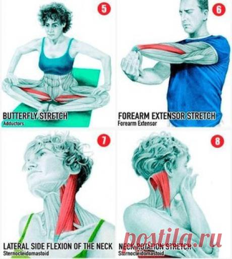 Полная растяжка всех мышц!
Сохраните себе обязательно