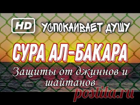 КОРАН ДЛЯ СЕРДЦА И ДУШИ. ЗАЩИТА ОТ КОЛДОВСТВО.