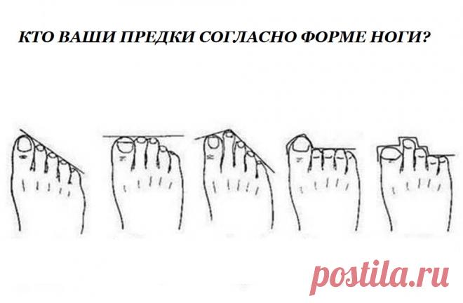 Форма ваших пальцев на ногах может раскрыть тайну откуда вы родом, но и это еще не все! Некоторые утверждают, что наши ноги могут пролить свет на наш характер. Мы не беремся выдавать это утверждение за истину, но всем известно, что генетика также влияют на личностные характеристики индивидуума.