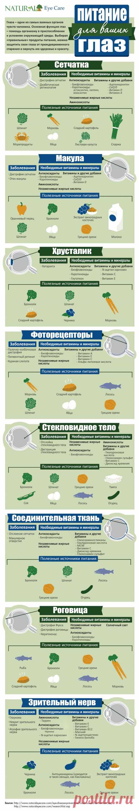 Питание для ваших глаз... - Копилочка: все самое интересное,полезное, красивое!!! - Группы Мой Мир