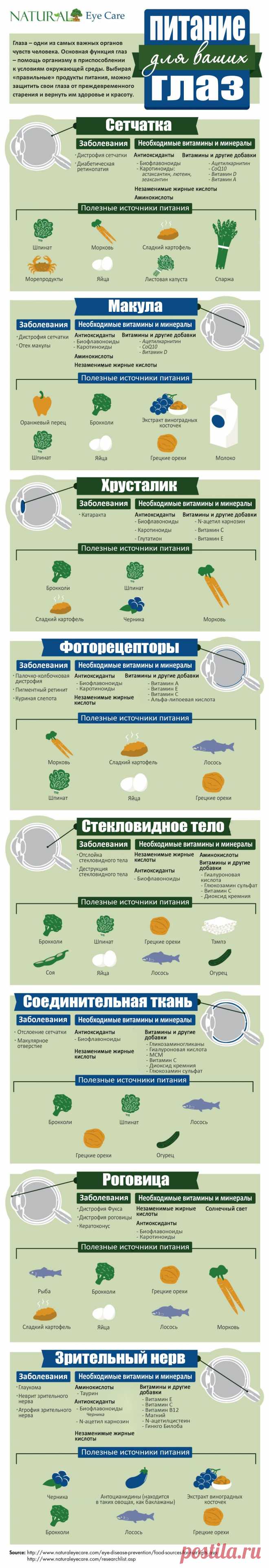 Питание для ваших глаз... - Копилочка: все самое интересное,полезное, красивое!!! - Группы Мой Мир