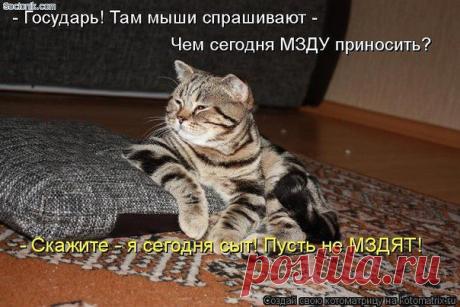 ♥≈Ω≈♥ ஐЛюбовь и нежностьஐ♥≈Ω≈♥ (Kошки)