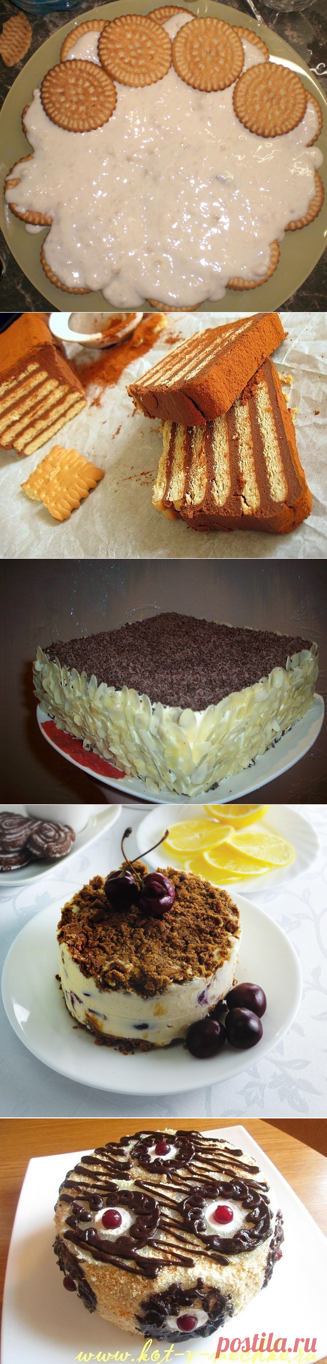 (5) Одноклассники