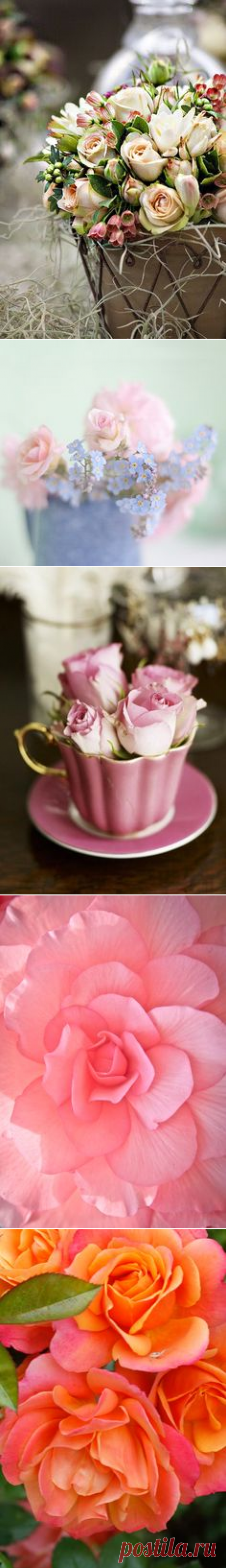 (2) Pinterest: инструмент для поиска и хранения интересных идей
