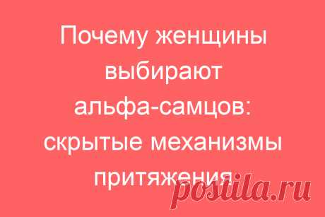 Почему женщины выбирают альфа-самцов: скрытые механизмы притяжения