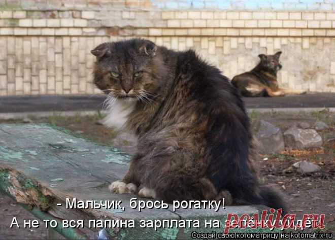 458442.jpg (изображение «JPEG», 748x536 пикселов)