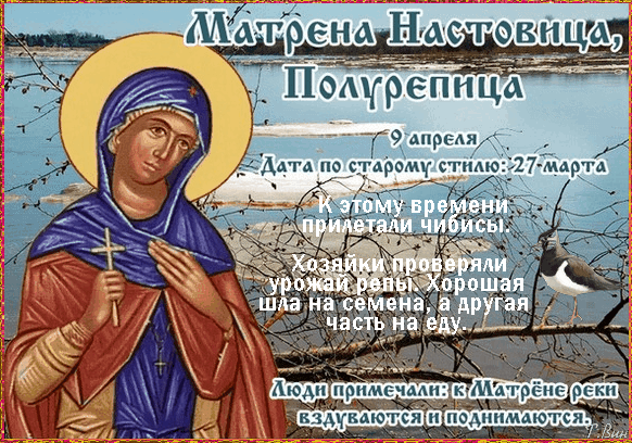 "С днем Матрены Настовицы,
Пусть весна стучит в окна!
Чибис пусть несет водицу,
Чтобы репка выросла. Открытки на Матрена Настовица (Полурепица)!"