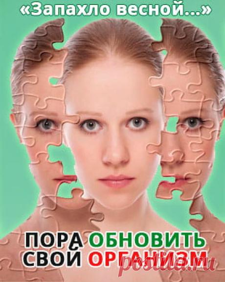 Как обновить организм целиком | Здоровые советы на 100PDF