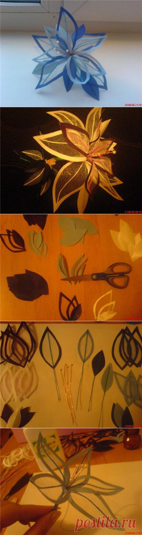 Декоративные цветы..