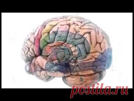 Богатство ПЕРВЫЕ ШАГИ! Секрет успеха за 30 минут