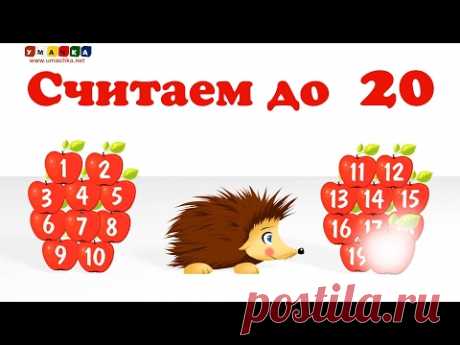 Учимся считать до 20. Ёжик Жека учит числа от 1 до 20