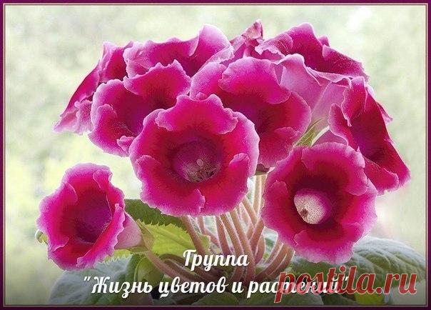 Мои закладки