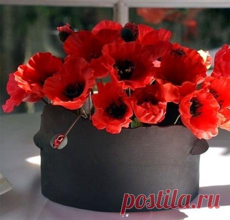 Мадам ! Держите вертикаль!
Ну,в смысле - спину поровнее
Былое бросив на алтарь
Сожгите молча ...не жалея
      Мадам ! Походкой от бедра
      Ступая медленно и плавно
      Пройдите в завтра из вчера 
      По пеплу бывшего пожара !
Ещё печет ?! Не может быть ...
Вам это просто показалось
Исчерпан там огня лимит
Мадам ! С лица сотрите жалость ! ...
       Мадам ! Улыбку ! А в глаза
       Добавьте чертиков игривых  
       А ну -ка , гляньте в зеркала
       Не правда ли ...