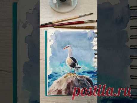 Чайка акварелью. #art #акварель #watercolor