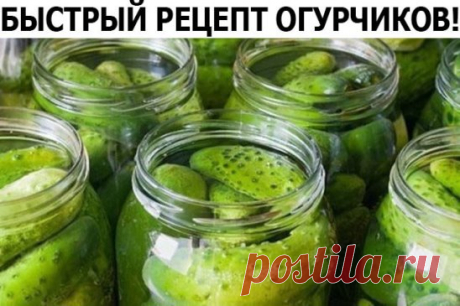 ЛЕТОМ В БАНКУ - ЗИМОЙ НА СТОЛ!
ОГУРЦЫ МАЛОСОЛЬНЫЕ БЫСТРЫЕ!
1 кг огурцов, 10 штук листьев черной смородины, 10 г укропа, 1 долька чеснока, 5 г хрена, 5 г соли, 1 л воды.
Если хотите иметь малосольные огурцы на следующий день, нужно поступить следующим образом. Отобрать мелкие огурцы, тщательно их промыть, обрезать кончики, наколоть вилкой и сложить в эмалированную кастрюлю, пересыпая тертым хреном, чесноком, укропом, листьями смородины. Залить огурцы кипящим рассолом и дать в нем остыть. За сутки