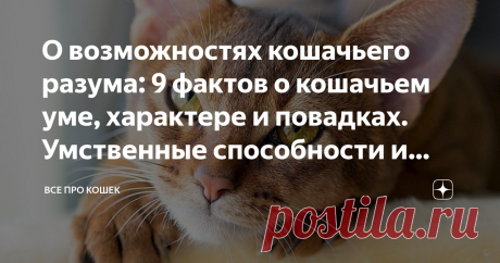 О возможностях кошачьего разума: 9 фактов о кошачьем уме, характере и повадках. Умственные способности и интеллект кошек Мозг по-прежнему остается самым загадочным органом, вызывая огромный интерес ученых. Кроме людей, объектом исследования выступают и наши любимые питомцы.