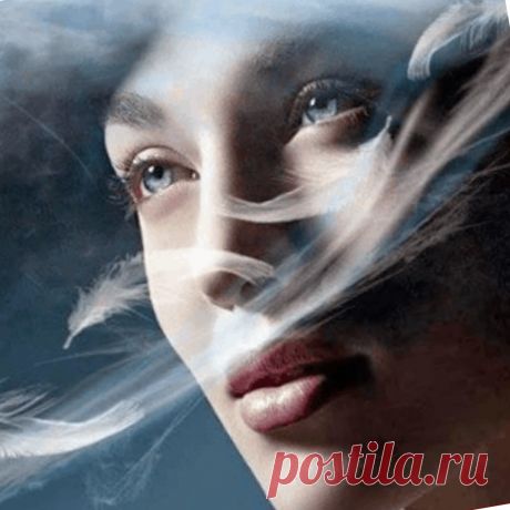 Тест &quot;Баба с возу-кобыла рада&quot;  Почему рада кобыла и другие пословицы и поговорки про непостижимую женскую натуру.