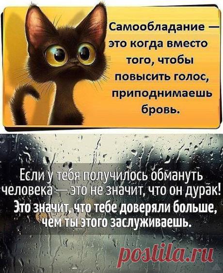 (44) Одноклассники
